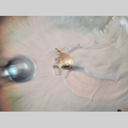 Pendentif coquillage du...