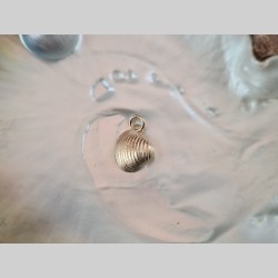 Pendentif coquillage du...