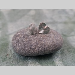 Cloux d'oreilles folioles...