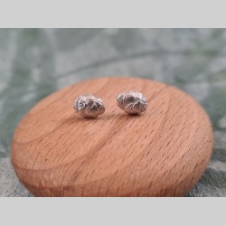 Cloux d'oreilles mini pives