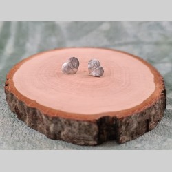 Cloux d'oreilles folioles...