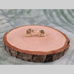 Cloux d'oreilles feuilles...
