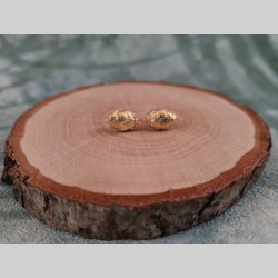 Cloux d'oreilles mini pives...