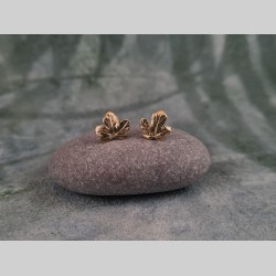 Cloux d'oreilles feuilles...